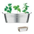 Zinc tub with 3 herbs seeds