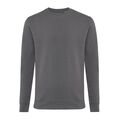 Iqoniq Zion recycled cotton crew neck, anthracite