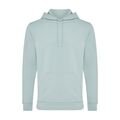 Iqoniq Jasper recycled cotton hoodie, iceberg green