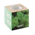Vaistažolių vazonas „MINT“