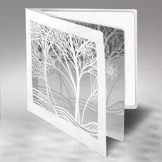 Kalėdinis atvirukas FS740tb