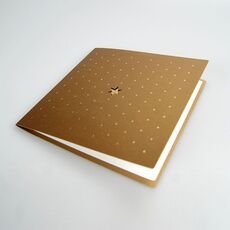 Kalėdinis atvirukas FS893az