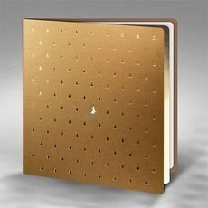 Kalėdinis atvirukas FS895az