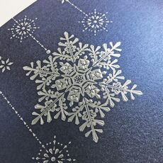 Kalėdinis atvirukas FS955i