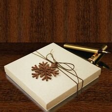 Kalėdinis atvirukas FS499