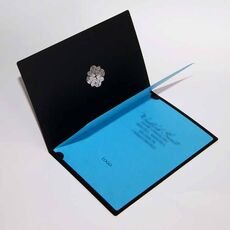 Kalėdinis atvirukas FS672ag