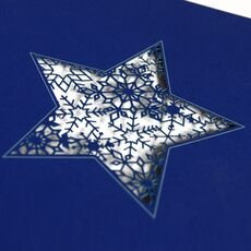 Kalėdinis atvirukas FS697nk