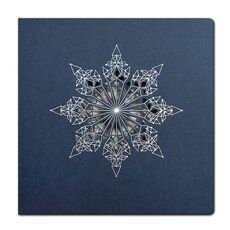 Kalėdinis atvirukas FS728i