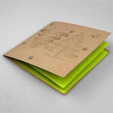 Kalėdinis atvirukas FS793te-P