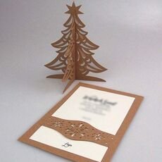 Kalėdinis atvirukas FS872