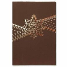 Kalėdinis atvirukas FS876brg-P