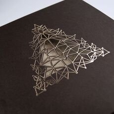 Kalėdinis atvirukas FS896br-P