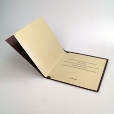 Kalėdinis atvirukas FS896br-P