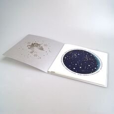 Kalėdinis atvirukas FS924s