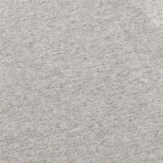 Iqoniq Denali recycled cotton crew neck undyed, grey