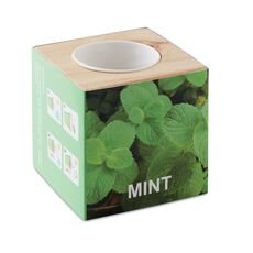 Vaistažolių vazonas „MINT“