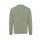 Iqoniq Denali recycled cotton crew neck undyed, green