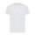 Iqoniq Tikal recycled polyester quick dry sport t-shirt, light grey