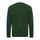 Iqoniq Etosha lightweight recycled cotton crew neck, forest green