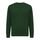 Iqoniq Etosha lightweight recycled cotton crew neck, forest green