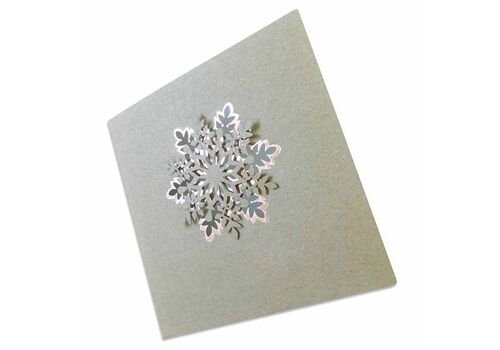 Kalėdinis atvirukas 60351-P