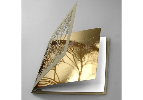 Kalėdinis atvirukas FS740sz