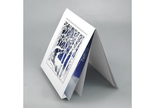 Kalėdinis atvirukas FS753tb