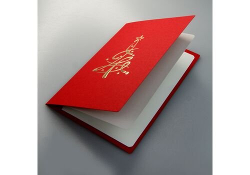 Kalėdinis atvirukas FS848c