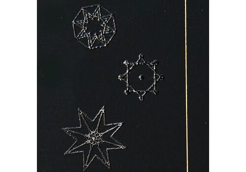 Kalėdinis atvirukas FS853ag