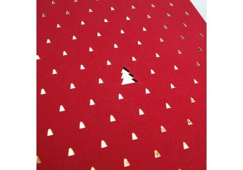 Kalėdinis atvirukas FS895bg