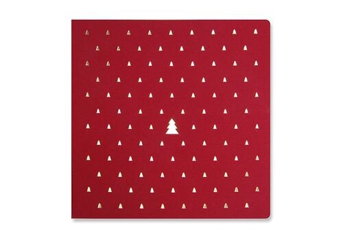 Kalėdinis atvirukas FS895bg