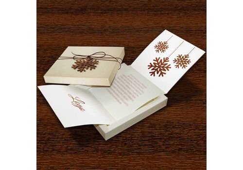 Kalėdinis atvirukas FS499