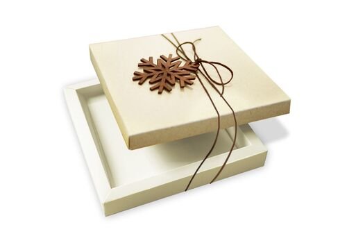 Kalėdinis atvirukas FS499