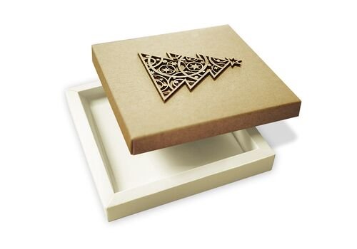 Kalėdinis atvirukas FS500