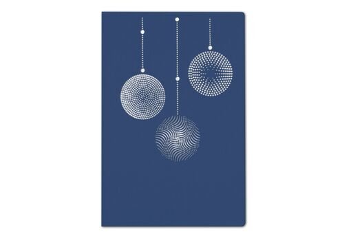 Kalėdinis atvirukas FS570ng