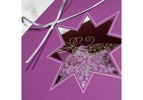 Kalėdinis atvirukas FS619kf