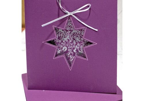 Kalėdinis atvirukas FS619kf