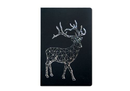 Kalėdinis atvirukas FS643ag