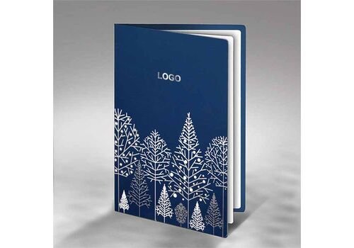 Kalėdinis atvirukas FS673ng