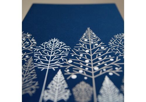 Kalėdinis atvirukas FS673ng