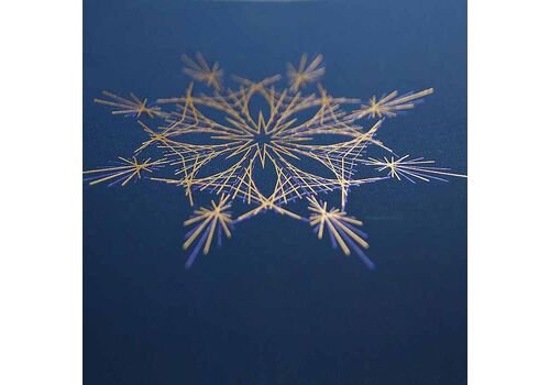 Kalėdinis atvirukas FS742ng-P