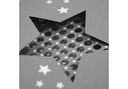 Kalėdinis atvirukas FS772sc-P