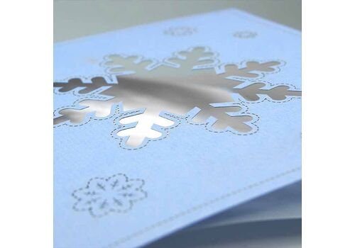 Kalėdinis atvirukas FS786np-P