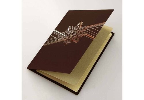 Kalėdinis atvirukas FS876brg-P