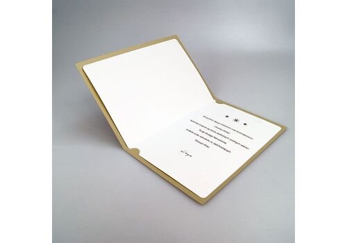 Kalėdinis atvirukas FS883