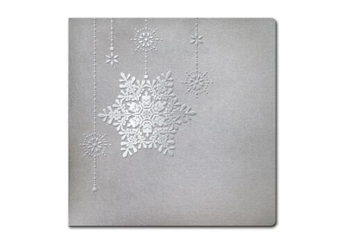 Kalėdinis atvirukas FS955s