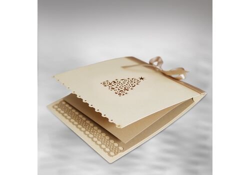 Kalėdinis atvirukas FS465tz