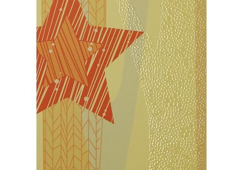 Kalėdinis atvirukas FS808