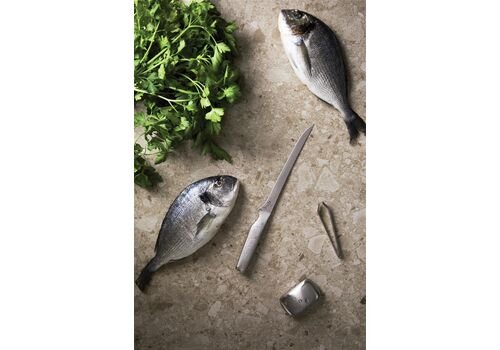 VINGA Hattasan fillet set, silver