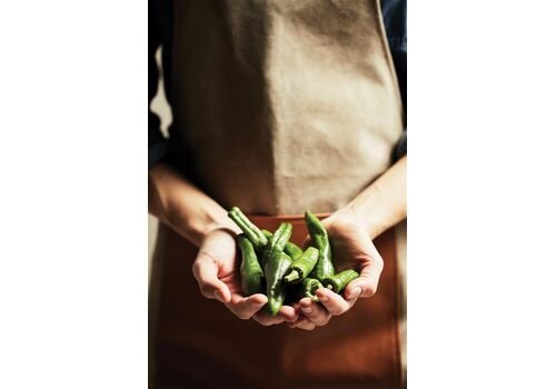 VINGA Asado Apron, brown